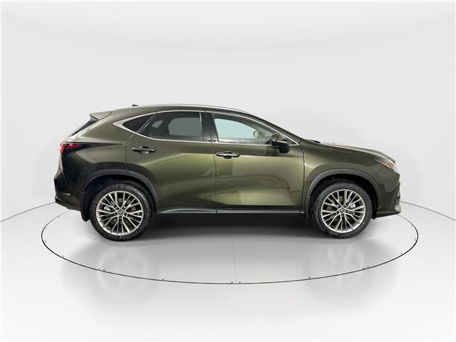 2026 Lexus NX 350  (Stk: 14111943) in Markham - Image 8 of 18