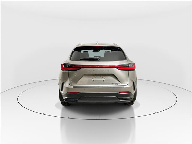 2026 Lexus NX 350h  (Stk: 14111942) in Markham - Image 6 of 8