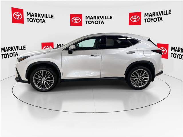 2025 Lexus NX 350 Base (Stk: 11U4326) in Markham - Image 6 of 34