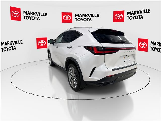 2025 Lexus NX 350 Base (Stk: 11U4326) in Markham - Image 8 of 34