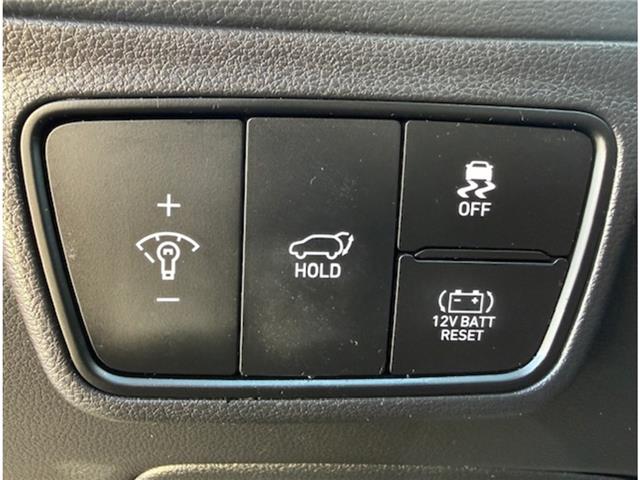 2024 Hyundai Tucson Hybrid Luxury (Stk: HPU0353) in Toronto - Image 18 of 23