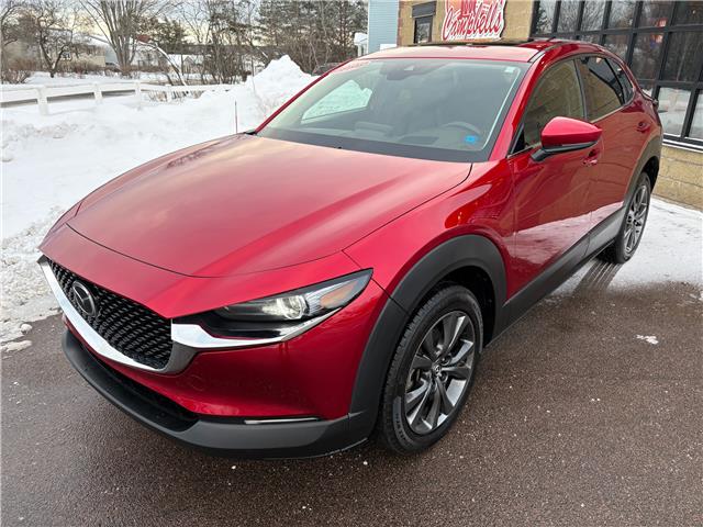 2020 Mazda CX-30 GT (Stk: A-109835) in Moncton - Image 3 of 20