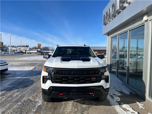 2024 Chevrolet Silverado 1500 Custom Trail Boss (Stk: 26099A) in Moosomin - Image 13 of 14