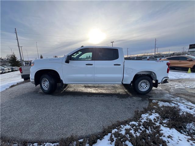 2026 Chevrolet Silverado 1500 Work Truck (Stk: TG234033) in Calgary - Image 3 of 20