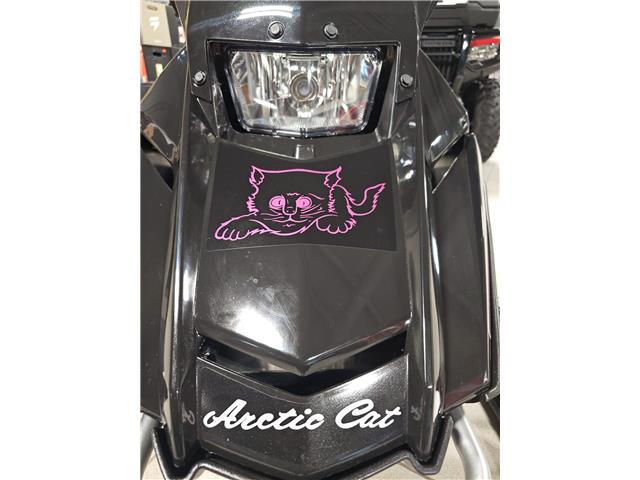 2026 Arctic Cat KITTY CAT FINAL EDITION (Stk: 26AS-015) in Grande Prairie - Image 6 of 10
