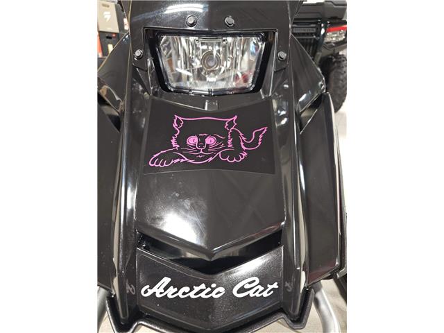 2026 Arctic Cat KITTY CAT FINAL EDITION (Stk: 26AS-014) in Grande Prairie - Image 6 of 10