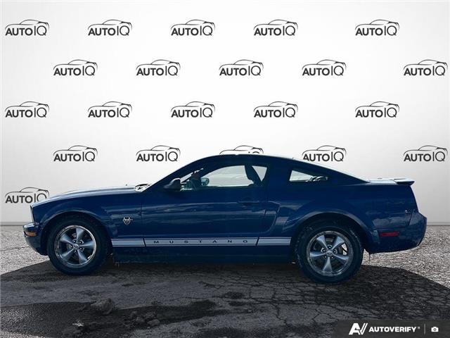 2009 Ford Mustang V6 (Stk: D5X084XZ) in Oakville - Image 3 of 23