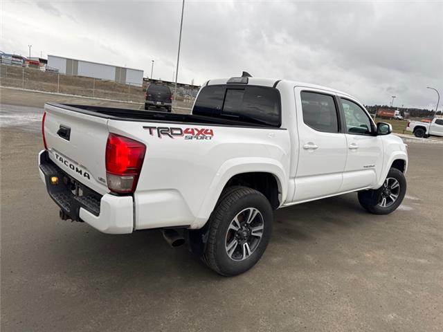 2017 Toyota Tacoma  (Stk: X070349W) in Cranbrook - Image 5 of 19