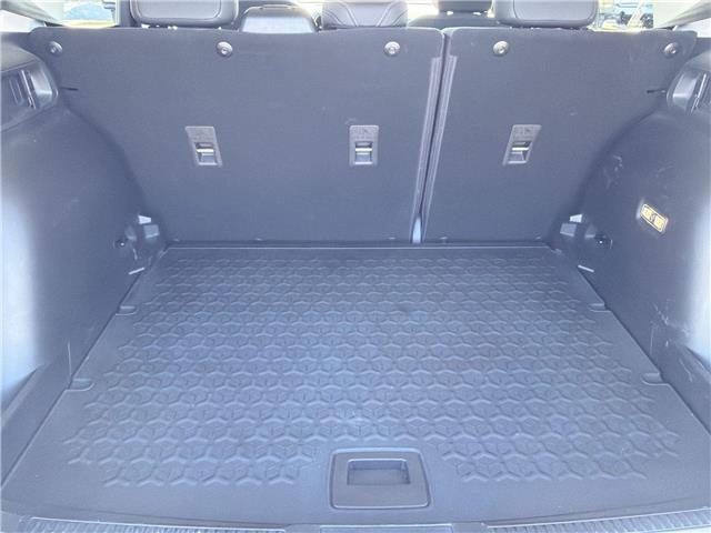 2024 Ford Bronco Sport Big Bend (Stk: RRE91738T) in Wallaceburg - Image 23 of 25 2024 Ford Bronco Sport Big Bend (Stk: RRE91738T) in Wallaceburg - Image 23 of 25