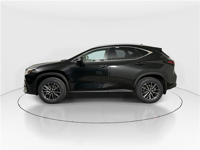 2026 Lexus NX 350h  (Stk: 15105501) in Richmond Hill - Image 4 of 19