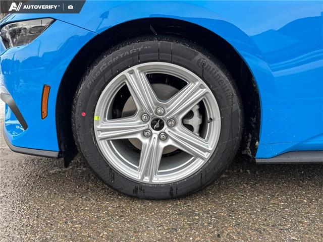 2026 Ford Mustang EcoBoost (Stk: 26C2902) in Olds - Image 6 of 25