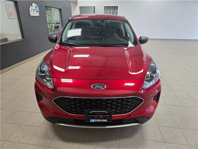 2022 Ford Escape SE (Stk: 22FE76208) in Winnipeg - Image 2 of 24