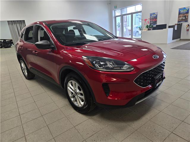 2022 Ford Escape SE (Stk: 22FE76208) in Winnipeg - Image 3 of 24