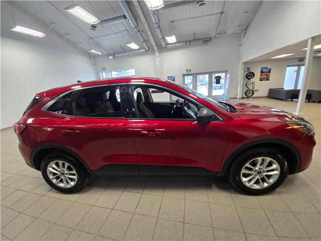 2022 Ford Escape SE (Stk: 22FE76208) in Winnipeg - Image 4 of 24