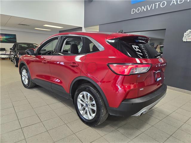 2022 Ford Escape SE (Stk: 22FE76208) in Winnipeg - Image 8 of 24