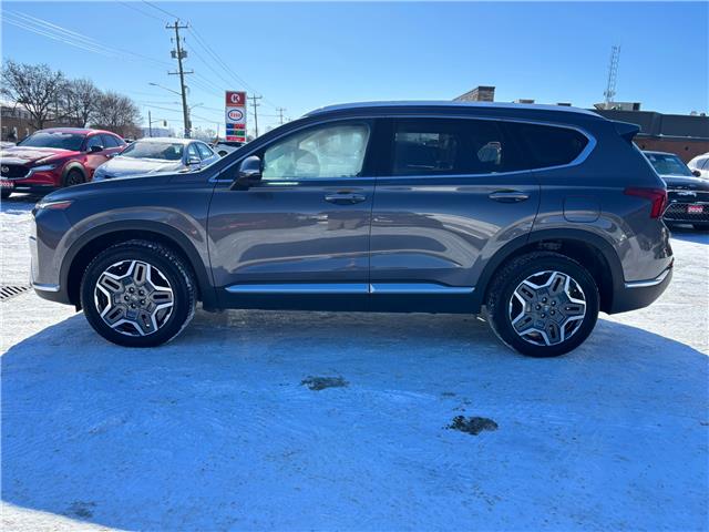 2023 Hyundai Santa Fe HEV Luxury (Stk: M6062) in Sarnia - Image 8 of 36