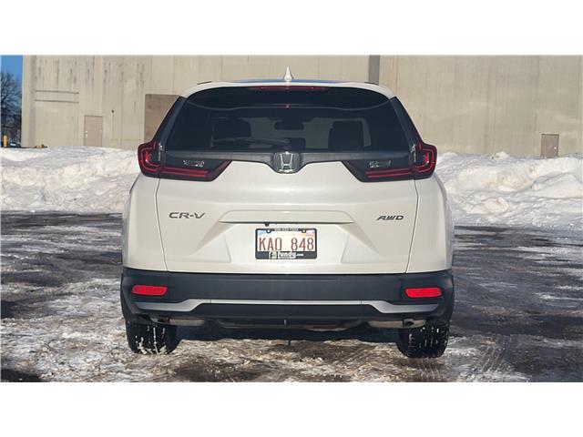 2022 Honda CR-V LX (Stk: TL2187) in Saint John - Image 5 of 13