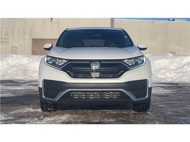 2022 Honda CR-V LX (Stk: TL2187) in Saint John - Image 10 of 13