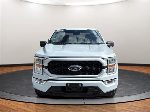 2022 Ford F-150 XL (Stk: D79646) in Lower Sackville - Image 2 of 23 2022 Ford F-150 XL (Stk: D79646) in Lower Sackville - Image 2 of 23