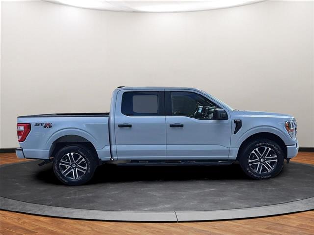 2022 Ford F-150 XL (Stk: D79646) in Lower Sackville - Image 4 of 23 2022 Ford F-150 XL (Stk: D79646) in Lower Sackville - Image 4 of 23
