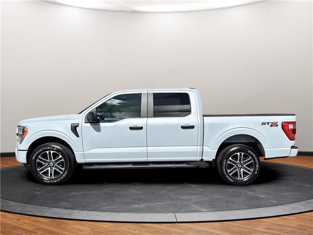 2022 Ford F-150 XL (Stk: D79646) in Lower Sackville - Image 8 of 23 2022 Ford F-150 XL (Stk: D79646) in Lower Sackville - Image 8 of 23