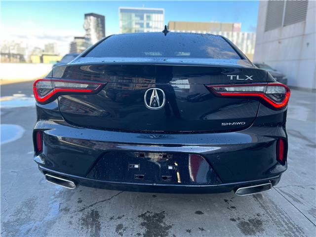 2021 Acura TLX Tech (Stk: AP5385) in Toronto - Image 6 of 23