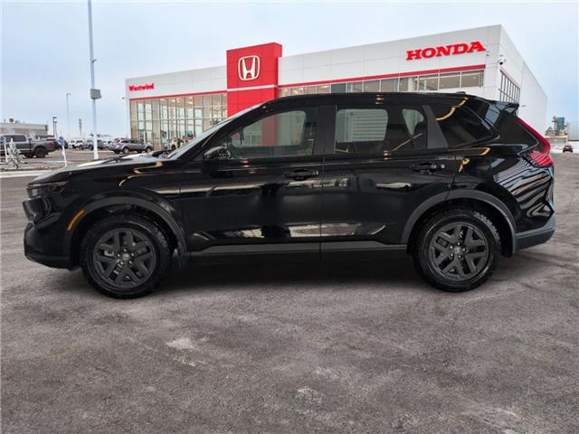 2026 Honda CR-V Hybrid TrailSport (Stk: 4136) in Lethbridge - Image 6 of 23