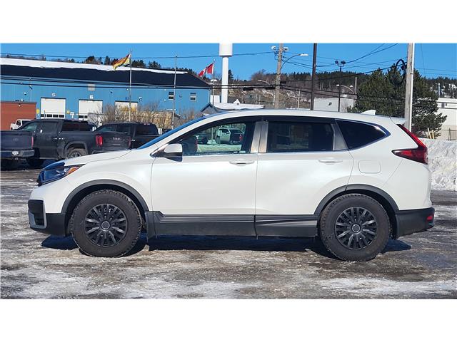 2020 Honda CR-V LX (Stk: TL2275A) in Saint John - Image 3 of 13