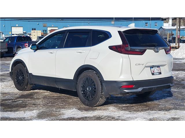 2020 Honda CR-V LX (Stk: TL2275A) in Saint John - Image 4 of 13