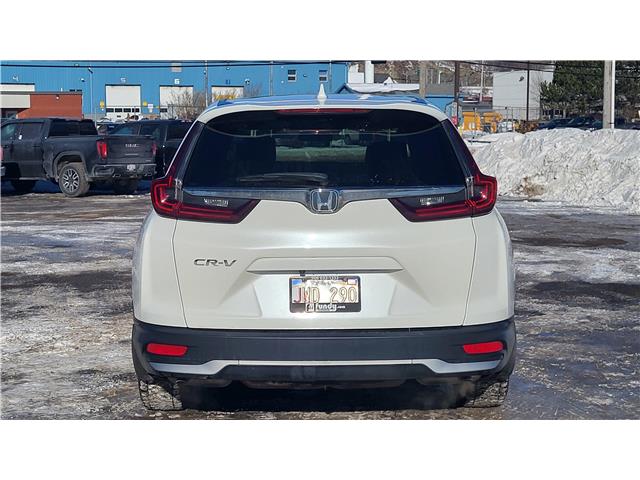 2020 Honda CR-V LX (Stk: TL2275A) in Saint John - Image 5 of 13