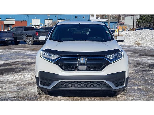 2020 Honda CR-V LX (Stk: TL2275A) in Saint John - Image 10 of 13