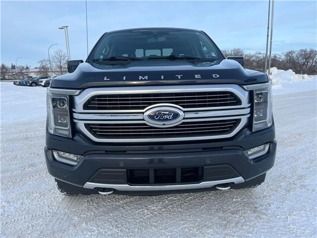 2021 Ford F-150 Limited (Stk: A93570) in Hague - Image 3 of 13