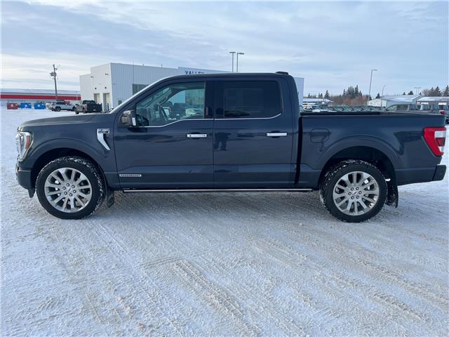2021 Ford F-150 Limited (Stk: A93570) in Hague - Image 5 of 13