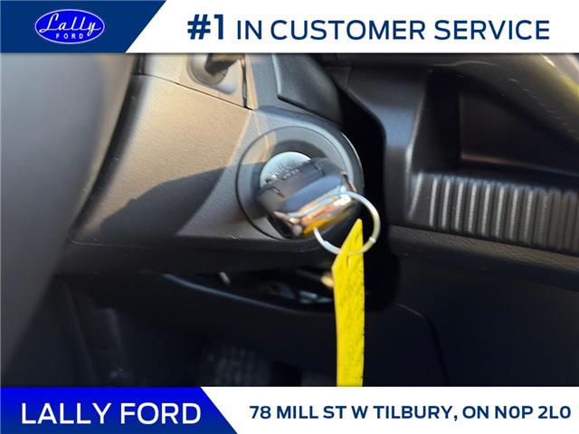 2026 Ford Ranger XLT (Stk: LFRA01543) in Tilbury - Image 11 of 14