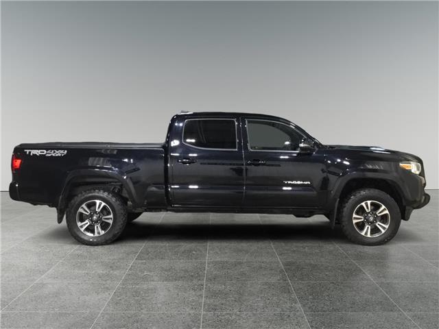 2019 Toyota Tacoma SR5 V6 (Stk: N26066A) in Sault Ste. Marie - Image 6 of 15 2019 Toyota Tacoma SR5 V6 (Stk: N26066A) in Sault Ste. Marie - Image 6 of 15