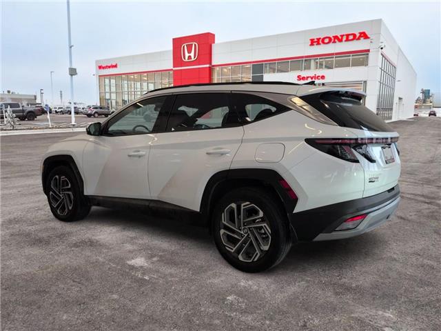 2025 Hyundai Tucson Hybrid Ultimate (Stk: 3800B) in Lethbridge - Image 5 of 23
