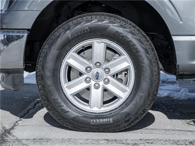 2023 Ford F-150 XLT (Stk: 23U12421) in North York - Image 6 of 25