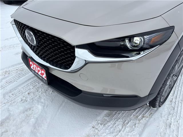 2022 Mazda CX-30 GT (Stk: M6084) in Sarnia - Image 18 of 38