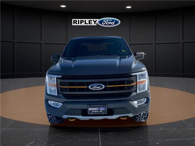 2021 Ford F-150 Tremor (Stk: 25092B) in Melfort - Image 3 of 22