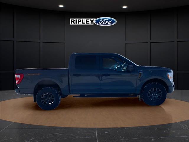 2021 Ford F-150 Tremor (Stk: 25092B) in Melfort - Image 6 of 22