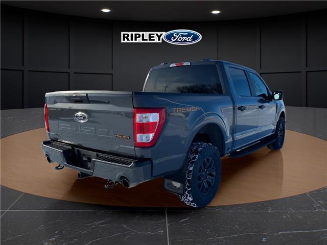 2021 Ford F-150 Tremor (Stk: 25092B) in Melfort - Image 7 of 22