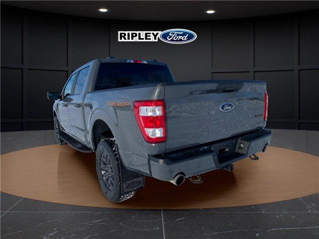 2021 Ford F-150 Tremor (Stk: 25092B) in Melfort - Image 9 of 22