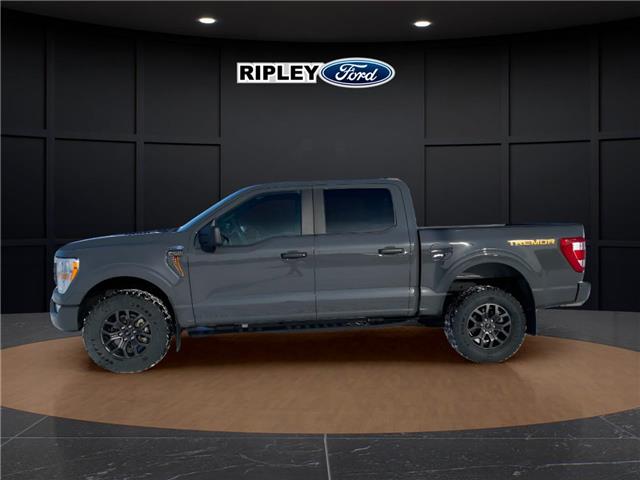 2021 Ford F-150 Tremor (Stk: 25092B) in Melfort - Image 11 of 22