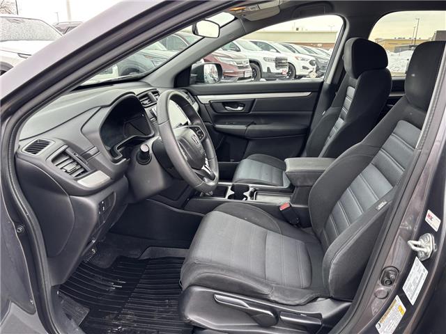 2017 Honda CR-V LX (Stk: P7198A) in Brantford - Image 5 of 22