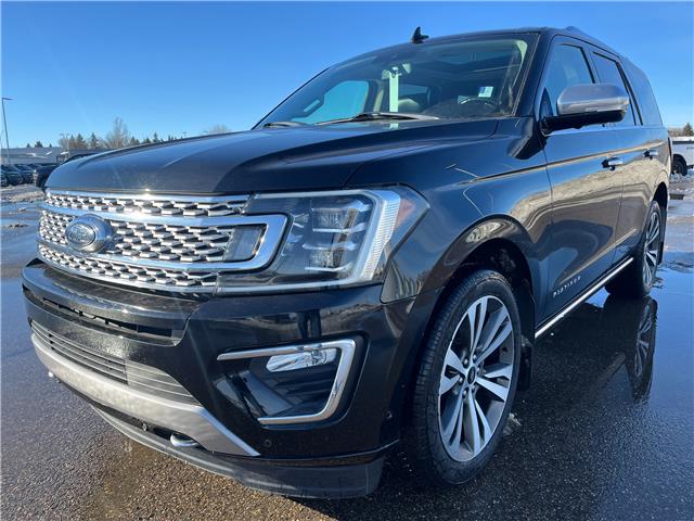 2020 Ford Expedition Platinum (Stk: A26064) in Hague - Image 4 of 13