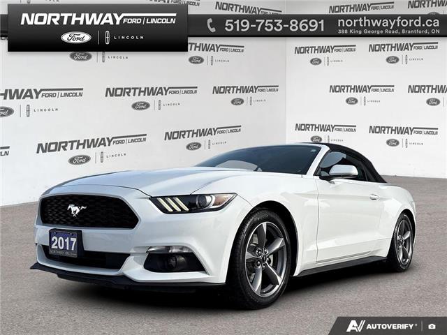 2017 Ford Mustang V6 (Stk: 5BR8062A) in Brantford - Image 1 of 23