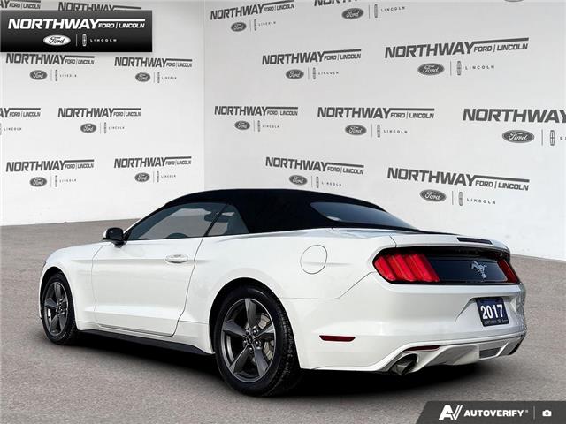 2017 Ford Mustang V6 (Stk: 5BR8062A) in Brantford - Image 4 of 23