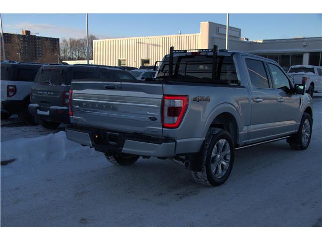 2023 Ford F-150  (Stk: DZ868A) in Ottawa - Image 6 of 17