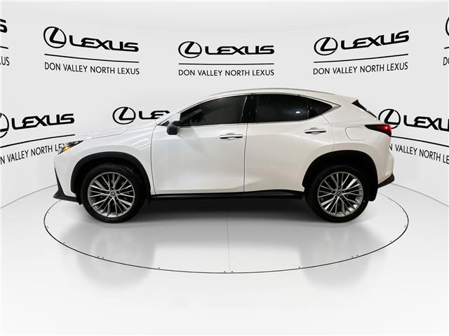 2023 Lexus NX 350  (Stk: 14111559A) in Markham - Image 6 of 29