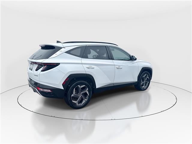 2023 Hyundai Tucson Hybrid Ultimate (Stk: 16105121A) in Markham - Image 8 of 12